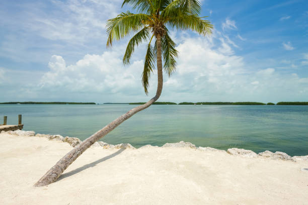 istock Florida Keys seascape 1196240901
