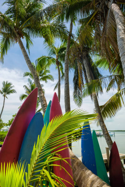 istock Florida Keys seascape 1196240947