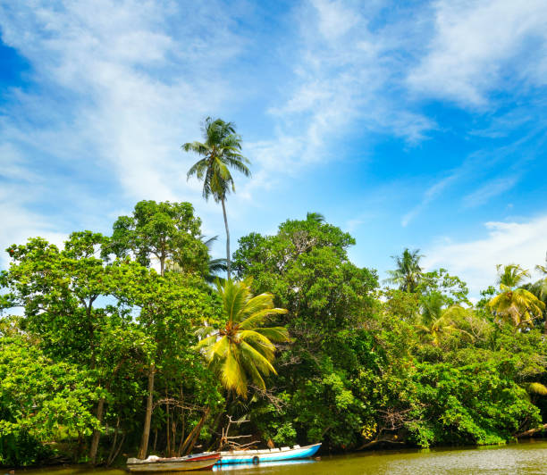istock Picturesque tropical landscape. 1196241647