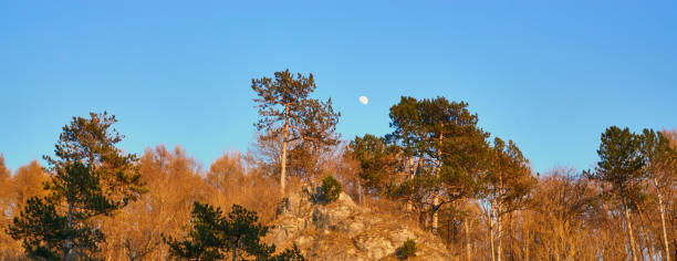 istock Full moon setting over the mountain ridge with colored trees on the mountain side. 1196241985