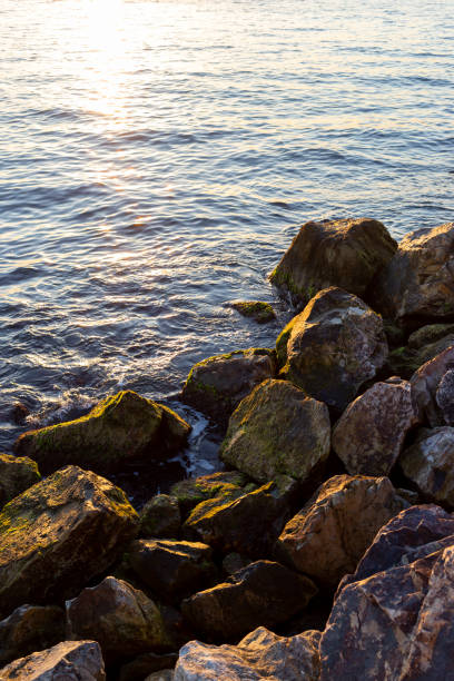 istock Rocks on beach by the sea at the sunset 1196242680