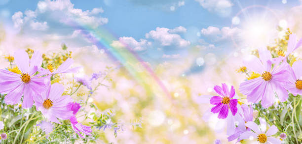 istock Wildflowers on a natural background 1196242926