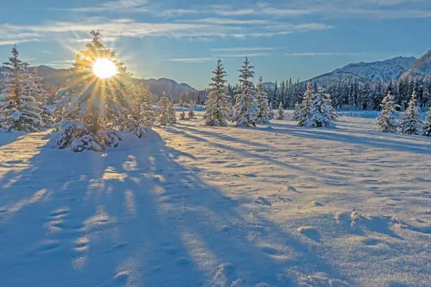 Winter sunset on an alpine meadow in Banff National Park, Alberta, Canada