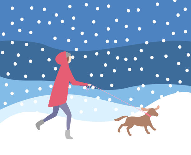 frau walking dog auf leine in schneefall winterzeit - snow dog walking running stock-grafiken, -clipart, -cartoons und -symbole