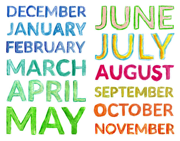 All English month names isolated on a white background