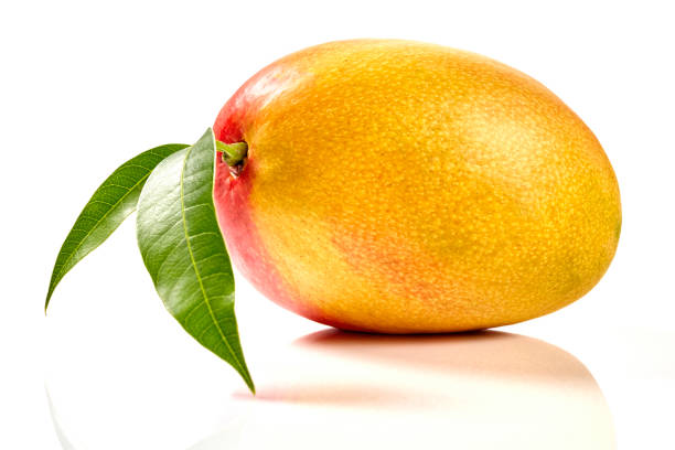 istock Single Mango with leaves isolated on white background. 1196248348