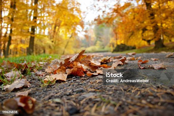 Foglie Su Una Strada Di Campagna In Autunno - Fotografie stock e altre immagini di Ambientazione esterna - Ambientazione esterna, Ambientazione tranquilla, Ambiente