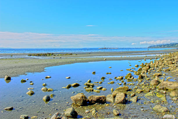 istock View on the White Rock beach Vancouver 1196250144
