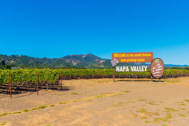 bienvenue à napa valley sign à napa california usa - napa valley vineyard sign welcome sign photos et images de collection