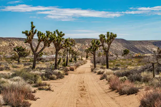 Photo of Pioneertown Southern California