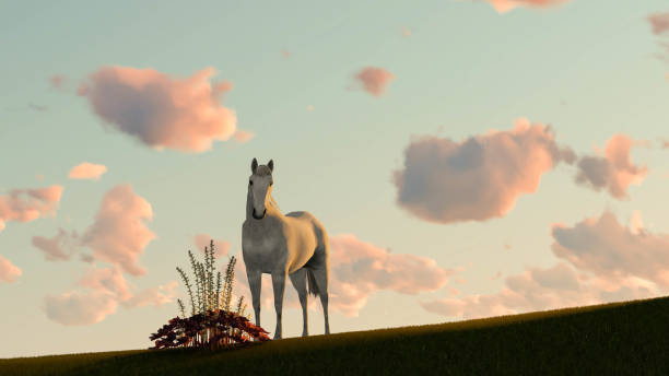istock Horse Outdoor at Sunset 3D Rendering 1196257361