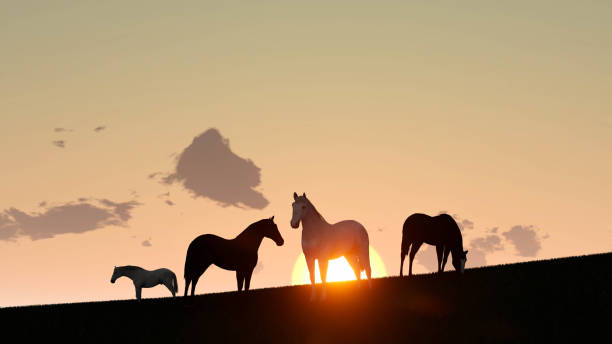 istock Horse Outdoor at Sunset 3D Rendering 1196257368