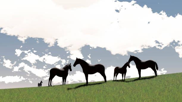 Two running horses in a forest. Suggestion of speed and movement. Copy space