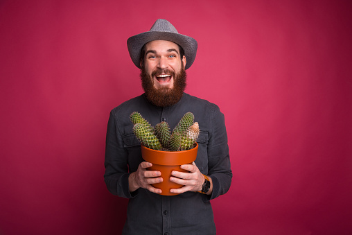 Photo of smiling bearded man holding big cactus plant
