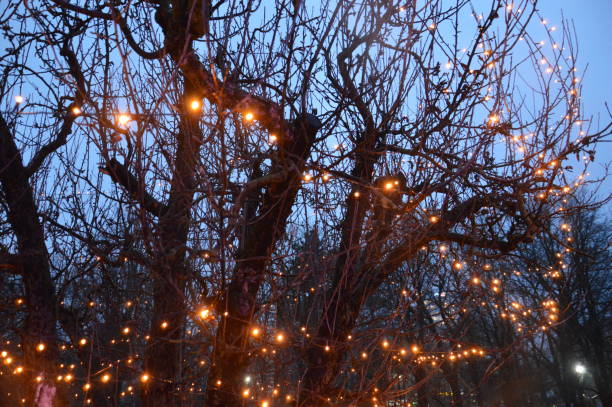 istock New Year's blurry garlands glow at night in composition 1196260381