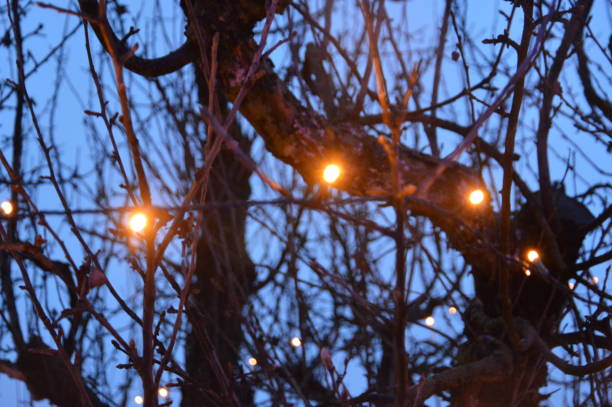 istock New Year's blurry garlands glow at night in composition 1196260395