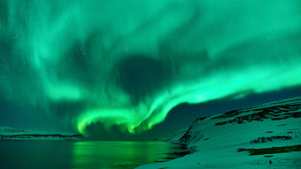 istock Northern lights in Iceland 1196260472