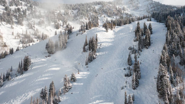 istock Aerial of Mountain Skiing 1196260510