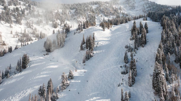 istock Aerial of Mountain Skiing 1196261024