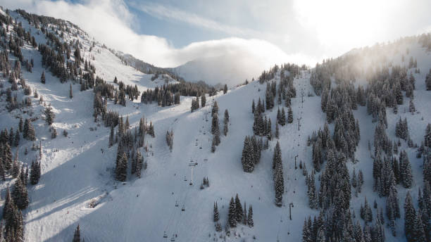 istock Aerial of Mountain Skiing 1196261082