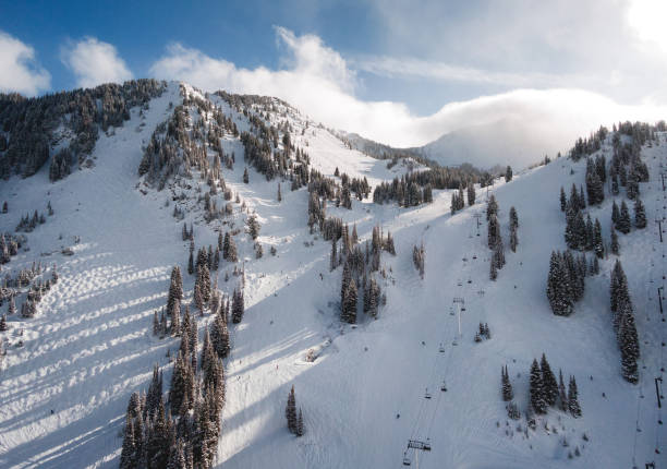 istock Aerial of Mountain Skiing 1196261128