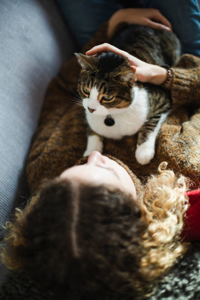 istock Beautiful young woman with her cat 1196262373