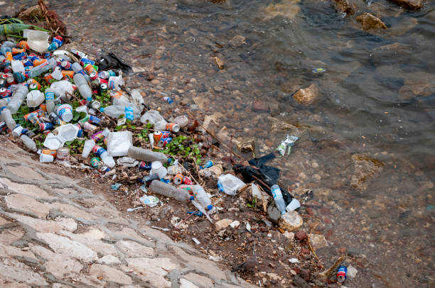 Garbage, mostly aluminum cans and plastic containers, on a bank of the Nile River in the center of Cairo, Egypt