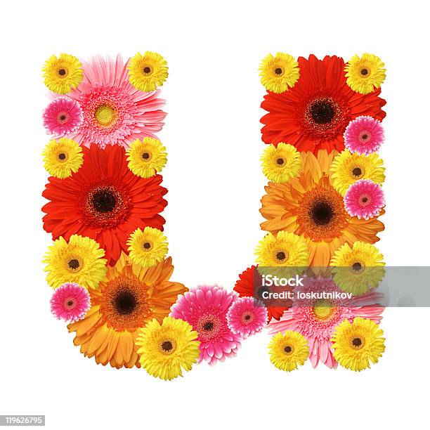 Foto de Abc e mais fotos de stock de Amarelo - Amarelo, Bouquet, Cabeça da flor