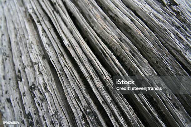 Driftwood - zdjęcia stockowe i więcej obrazów Abstrakcja - Abstrakcja, Bliskie zbliżenie, Deska