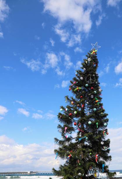 istock California Beach Christmas 1196269731