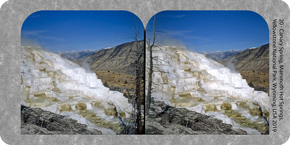 Canary Spring, Mammoth Hot Springs, Yellowstone National Park, Wyoming, USA. Scanned film photographed with Stereo Realist camera in 2019. Original 7 inch x 3.5 inch at 360 dpi.