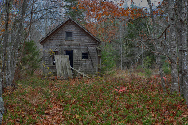 istock Rural Maine cabin 1196280122