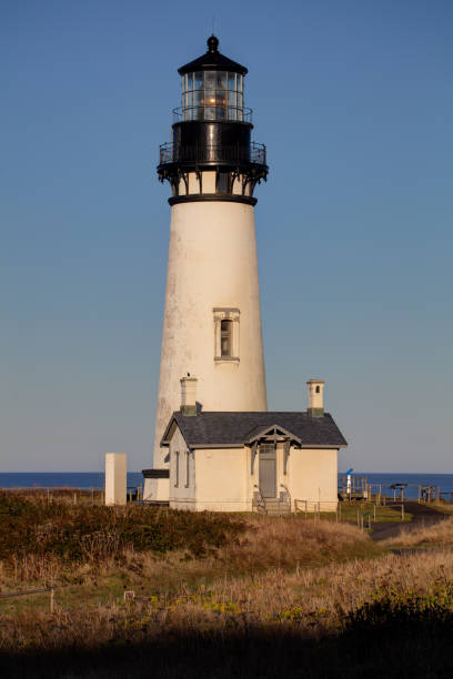 istock Yaquina Headland Lighthouse after Sunrise 1196280961