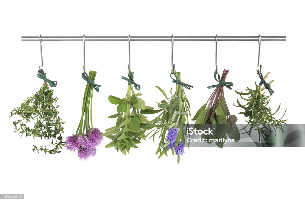 Herbs Hanging and Drying Herb leaf and flower  bunches of thyme, chives, oregano, lavender, sage and rosemary hanging and drying on a stainless steel pole, isolated over white background. Hanging Stock Photo