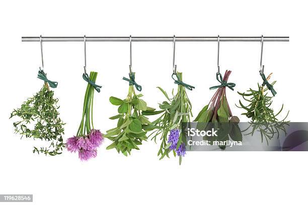 Herbs Hanging And Drying Stock Photo - Download Image Now - Hanging, Dry, Herb