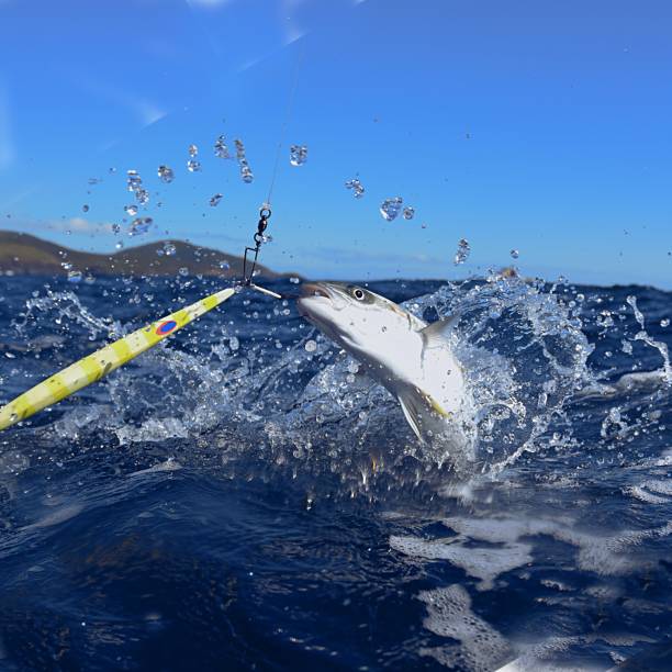 istock Fishing with Kingfish hooked on a lure jumping 1196295468