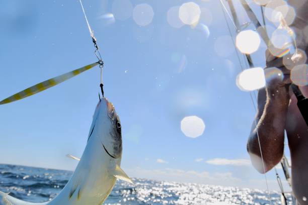 istock Fishing with Kingfish hooked on a lure jumping 1196295470