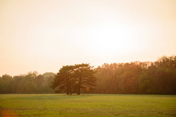 istock Beautiful autumn landscape with yellow trees and sun 1196309573