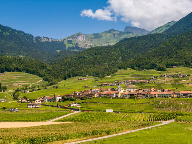 istock Summer Switzerland valley landscape with vineyards at foreground 1196312219