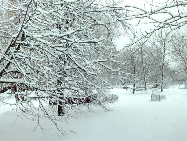 istock city park after snowfall at day 1196319750