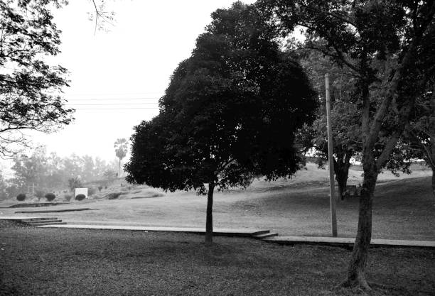istock Trees and concrete ways around a recreational park 1196322515