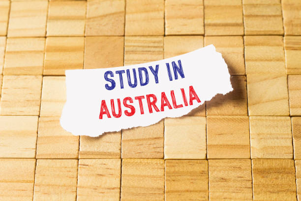 istock Word writing text Study In Australia. Business concept 1196322596