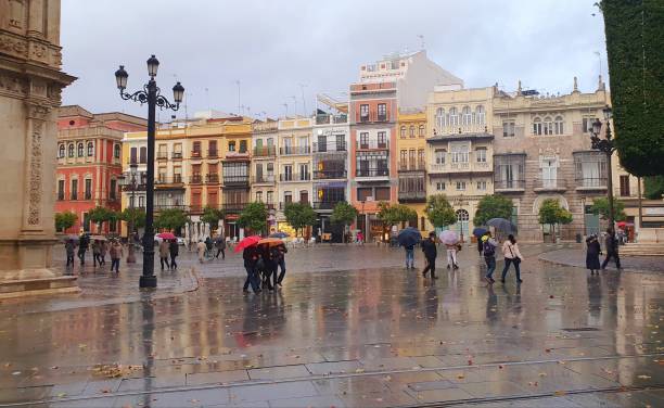 pluie abondante à séville colorée - seville sevilla spain andalusia photos et images de collection