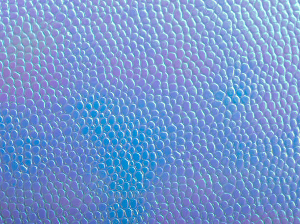 istock Blue and pink grain leather as a leather texture 1196325413