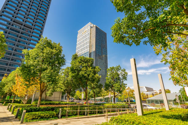 istock Business District Building Street 1196325457