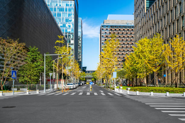 istock Business District Building Street 1196327172