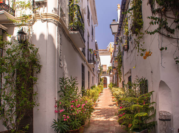 Marbella's city centre street scene