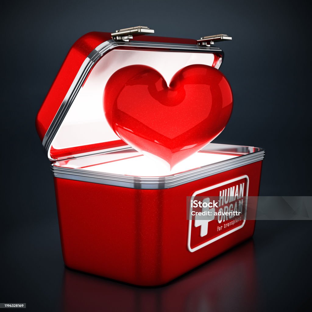 Red heart symbol inside special metal box for human organ transplant Red heart symbol inside special metal box for human organ transplant. Transplant Surgery Stock Photo