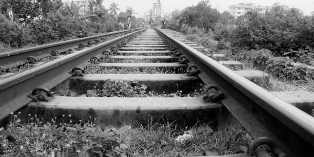 美しい晴れた日に撮影された、トラックのこれまで側に緑の緑を持つ列車のトラック。 - non urban scene railroad track station day ストックフォトと画像