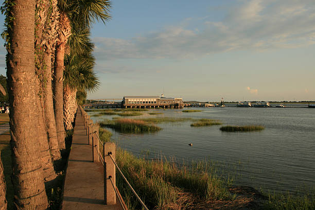 jekyll island molo w zmierzch - jekyll island zdjęcia i obrazy z banku zdjęć